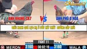 Trận 11 Bồ Gà C3 Ngày 8/7/2025