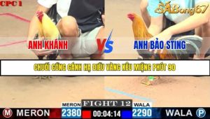 Trận 12 Bồ Gà C1 7/7/2025