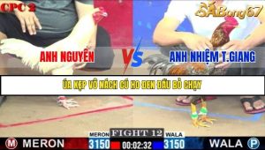 Trận 12 Bồ Gà C2 Ngày 11/7/2025