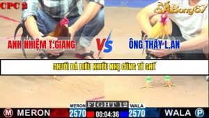 Trận 12 Bồ Gà C2 Ngày 13/7/2025