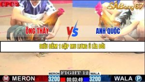 Trận 12 Bồ Gà C2 Ngày 23/7/2025