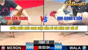 Trận 12 Bồ Gà C3 1/7/2025