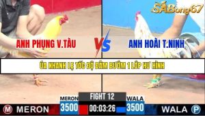 Trận 12 Bồ Gà C3 2/7/2025
