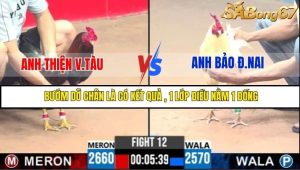Trận 12 Bồ Gà C3 Ngày 28/7/2025
