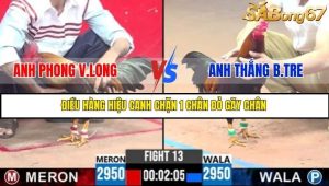 Trận 12 Bồ Gà C3 Ngày 8/7/2025