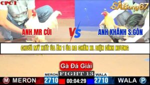 Trận 13 Bồ Gà C1 Ngày 10/7/2025
