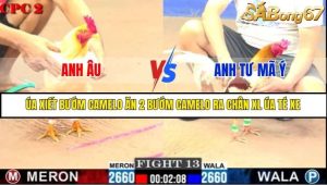 Trận 13 Bồ Gà C2 Ngày 13/7/2025