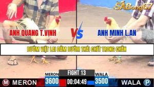 Trận 13 Bồ Gà C3 7/7/2025
