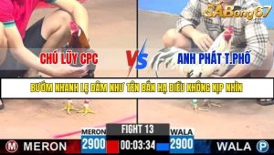 Trận 13 Bồ Gà C3 Ngày 27/7/2025