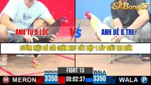 Trận 13 Bồ Gà C3 Ngày 29/7/2025