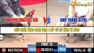 Trận 13 Bồ Gà C3 Ngày 5/7/2025