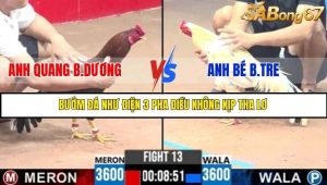 Trận 13 Bồ Gà C3 Ngày 8/7/2025