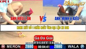 Trận 14 Bồ Gà C1 Ngày 10/7/2025