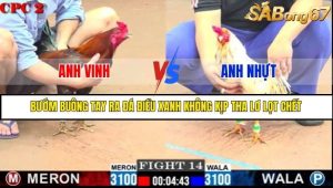 Trận 14 Bồ Gà C2 Ngày 11/7/2025