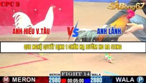Trận 14 Bồ Gà C2 Ngày 25/7/2025