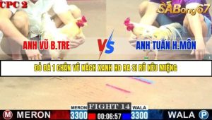 Trận 14 Bồ Gà C2 Ngày 4/7/2025