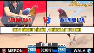 Trận 14 Bồ Gà C3 Ngày 25/7/2025