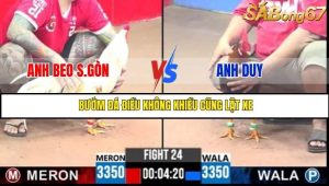 Trận 14 Bồ Gà C3 Ngày 29/7/2025