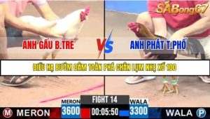 Trận 14 Bồ Gà C3 Ngày 9/7/2025