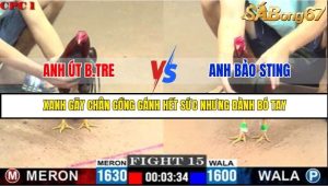 Trận 15 Bồ Gà C1 7/7/2025
