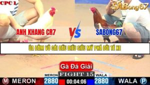 Trận 15 Bồ Gà C1 Ngày 10/7/2025