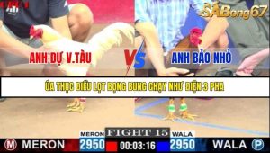 Trận 15 Bồ Gà C1 Ngày 12/7/2025