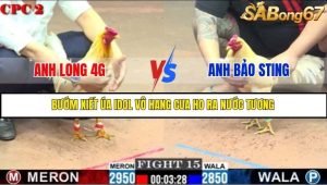 Trận 15 Bồ Gà C2 Ngày 16/7/2025