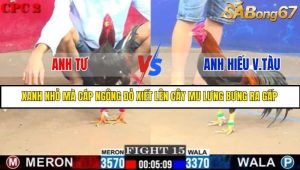 Trận 15 Bồ Gà C2 Ngày 18/7/2025