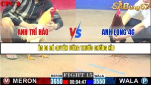 Trận 15 Bồ Gà C2 Ngày 4/7/2025