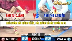 Trận 15 Bồ Gà C3 2/7/2025