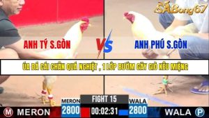Trận 15 Bồ Gà C3 Ngày 28/7/2025