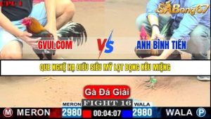 Trận 16 Bồ Gà C1 Ngày 10/7/2025