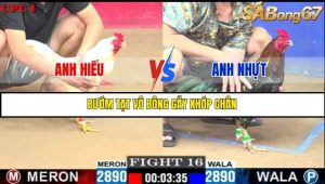 Trận 16 Bồ Gà C1 Ngày 19/7/2025