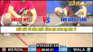 Trận 16 Bồ Gà C1 Ngày 26/7/2025