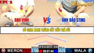Trận 16 Bồ Gà C2 Ngày 20/7/2025