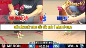 Trận 16 Bồ Gà C2 Ngày 25/7/2025