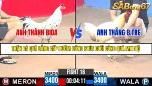 Trận 16 Bồ Gà C3 Ngày 27/7/2025