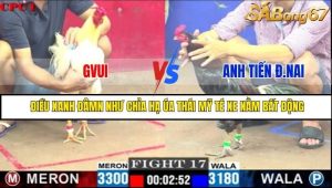 Trận 17 Bồ Gà C1 3/7/2025