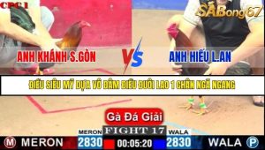 Trận 17 Bồ Gà C1 Ngày 10/7/2025