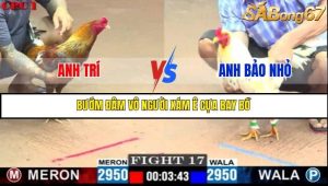 Trận 17 Bồ Gà C1 Ngày 12/7/2025