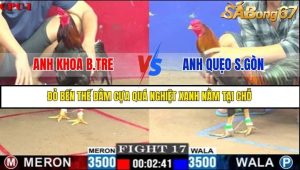 Trận 17 Bồ Gà C1 Ngày 19/7/2025