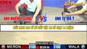Trận 17 Bồ Gà C2 Ngày 4/7/2025