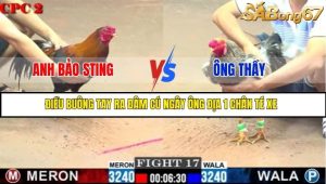 Trận 17 Bồ Gà C2 Ngày 9/7/2025