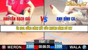 Trận 17 Bồ Gà C3 Ngày 17/7/2025