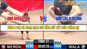 Trận 17 Bồ Gà C3 Ngày 19/7/2025
