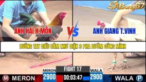 Trận 17 Bồ Gà C3 Ngày 25/7/2025