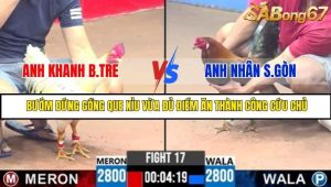 Trận 17 Bồ Gà C3 Ngày 29/7/2025