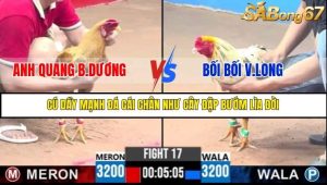 Trận 17 Bồ Gà C3 Ngày 8/7/2025