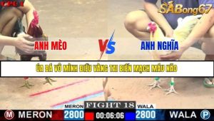 Trận 18 Bồ Gà C1 1/7/2025