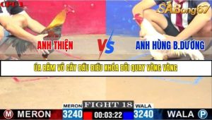 Trận 18 Bồ Gà C1 Ngày 23/7/2025